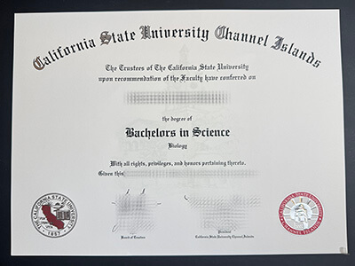 buy California State University Channel Islands degree