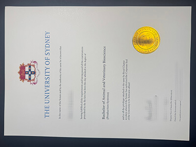 order University of Sydney diploma