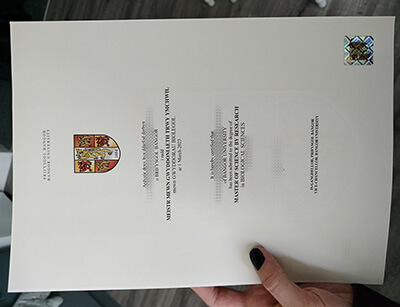 Order Bangor University diploma