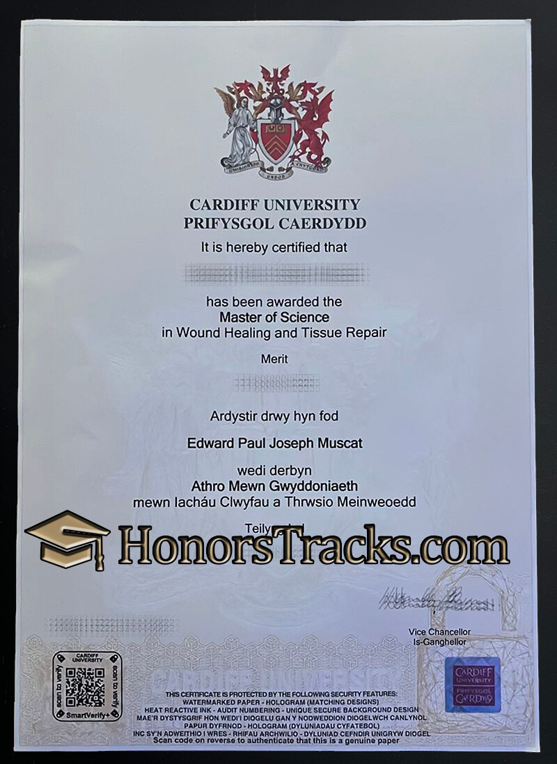 Cardiff University diploma