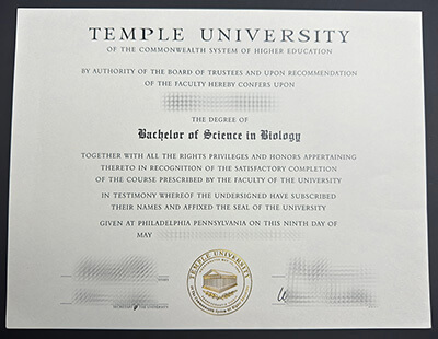Order Temple University diploma