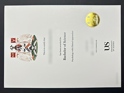 Make University of Sussex diploma