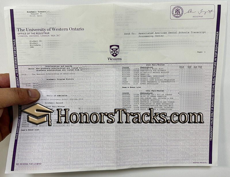 order University of Western Ontario diploma