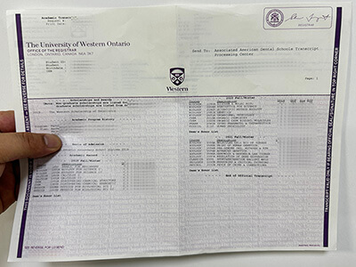 buy University of Western Ontario diploma