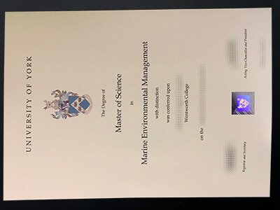 make University of York diploma