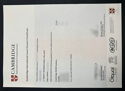 Cambridge International Level 1/Level 2 Certificate