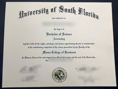Buy University of South Florida diploma
